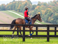 AK021025-11 - Believitanducan